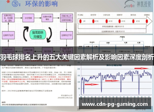 羽毛球排名上升的五大关键因素解析及影响因素深度剖析