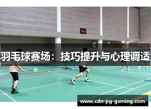 羽毛球赛场：技巧提升与心理调适