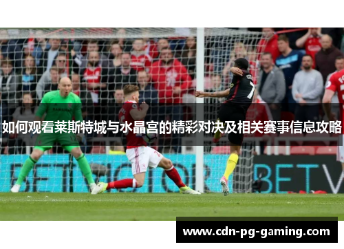 如何观看莱斯特城与水晶宫的精彩对决及相关赛事信息攻略