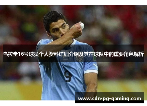 乌拉圭16号球员个人资料详细介绍及其在球队中的重要角色解析