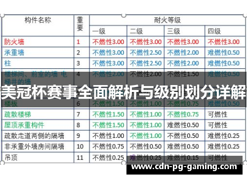 美冠杯赛事全面解析与级别划分详解