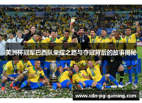 美洲杯冠军巴西队荣耀之路与夺冠背后的故事揭秘