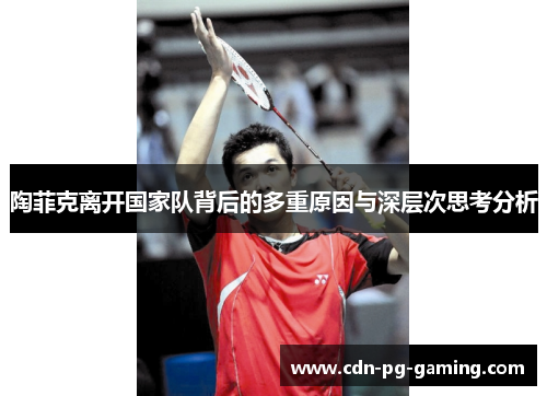 陶菲克离开国家队背后的多重原因与深层次思考分析